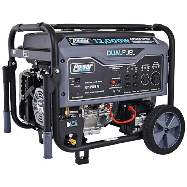 Pulsar G12KBN Heavy Duty Portable Dual Fuel Generator - 9500 Rated Watts & 12000 Peak Watts - Gas & LPG - Electric Start - Transfer Switch & RV...